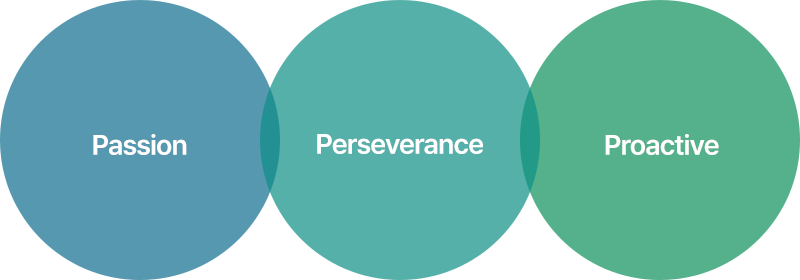 passion, perseverrance, proactive